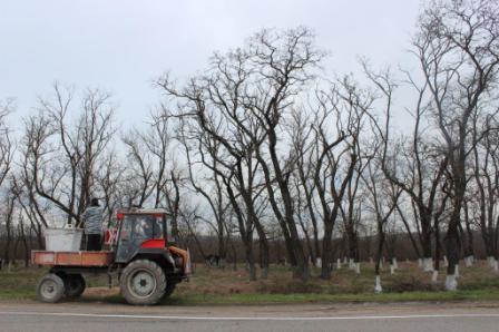 На Всекубанском субботнике